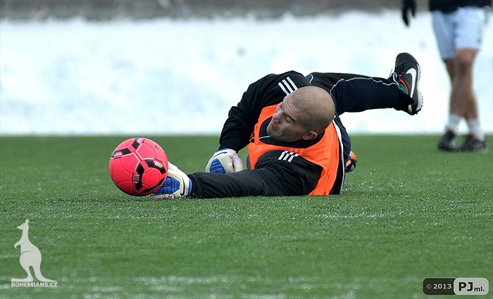 Klokani dnes trénovali na Šeberově