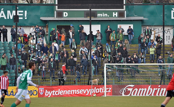 Bohemians Praha 1905 - FK Viktoria Žižkov 3:0 (2:0)
