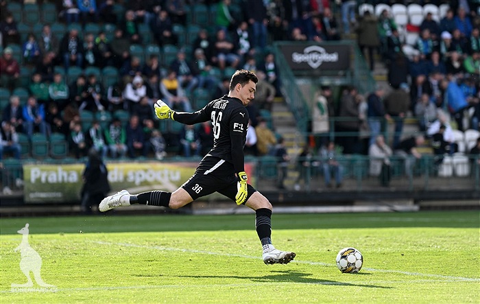 Bohemians - Mladá Boleslav 4:0 (1:0)