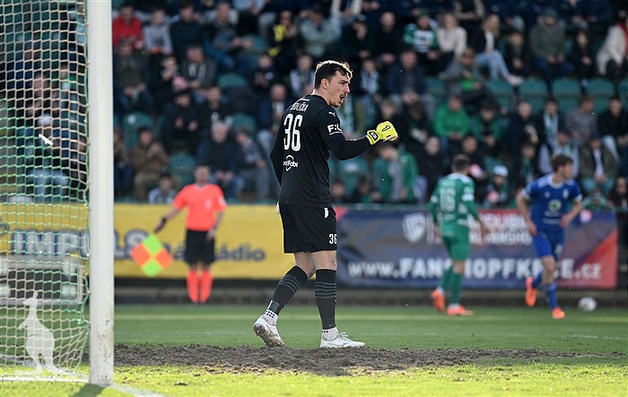 Bohemians - Mladá Boleslav 4:0 (1:0)