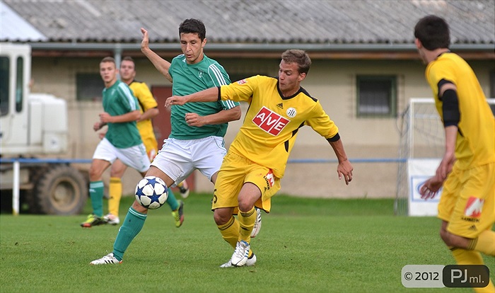 Bohemians 1905 - SK Dynamo Ceské Budějovice 2:3 (1:1)