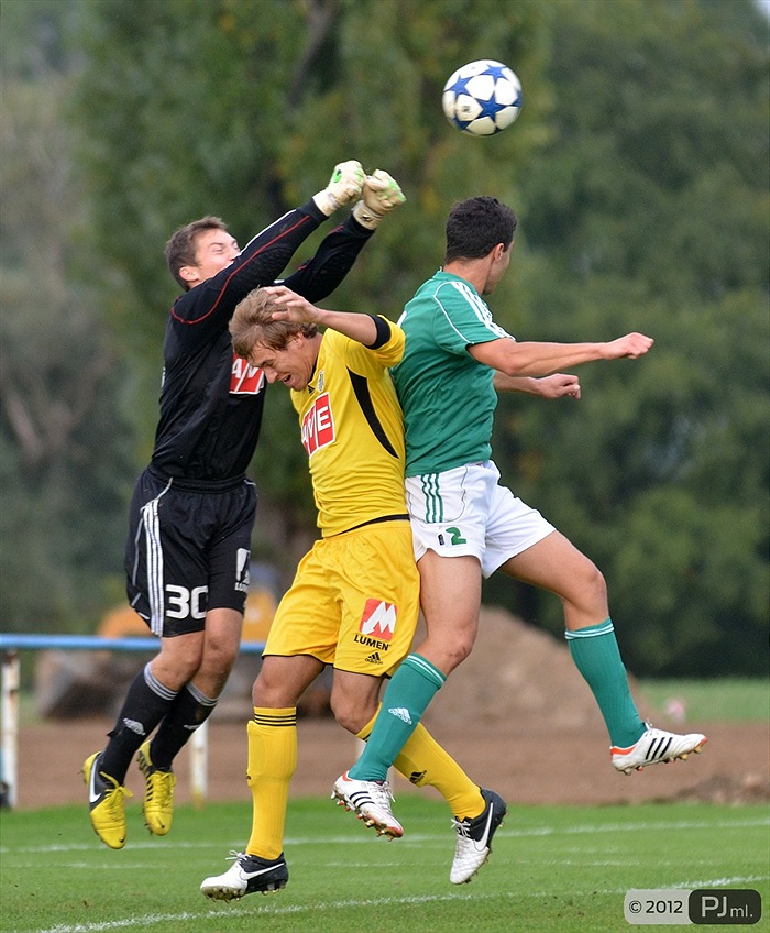 Bohemians 1905 - SK Dynamo Ceské Budějovice 2:3 (1:1)