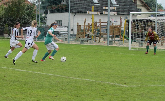 DFK Bohemians 1905 - FK Zlíchov 1914 2:3 (0:2)