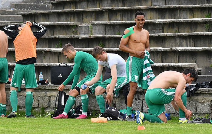 Mladá Boleslav - Bohemians 1:1 (1:1)