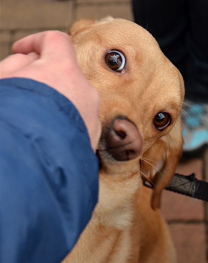 FK Baník Most - Bohemians Praha 1905 1:4 (1:2)