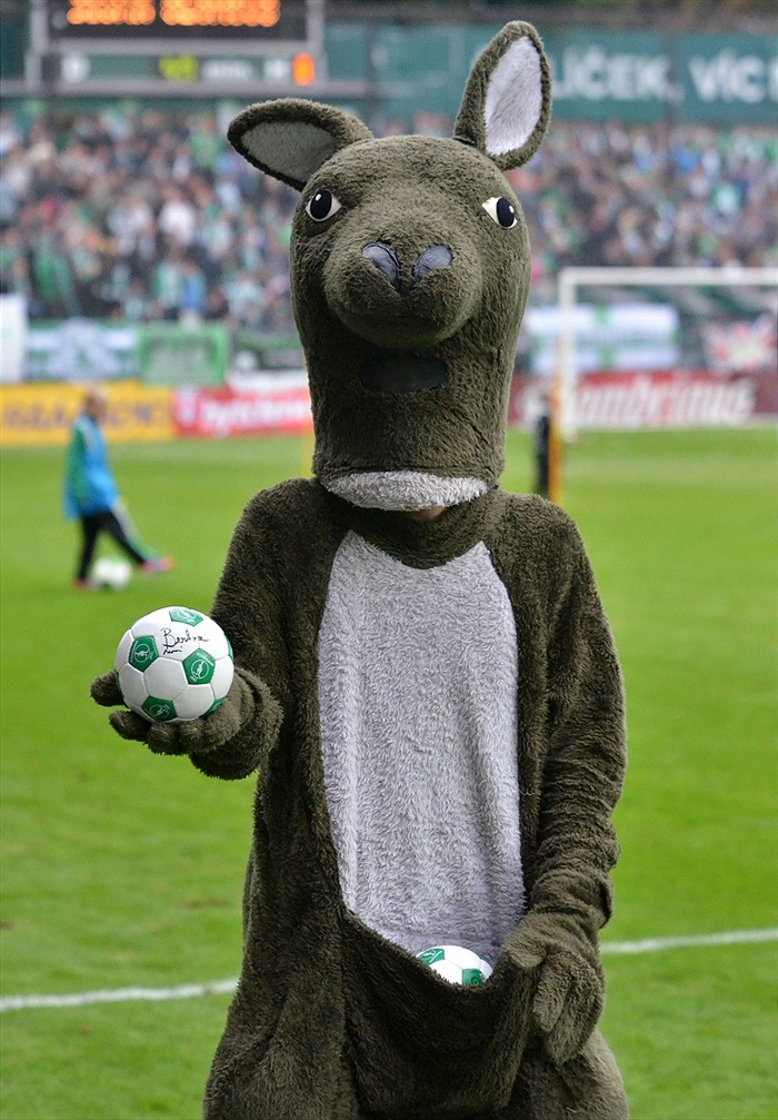 Bohemians Praha 1905 - SK Sigma Olomouc 0:2 (0:1)