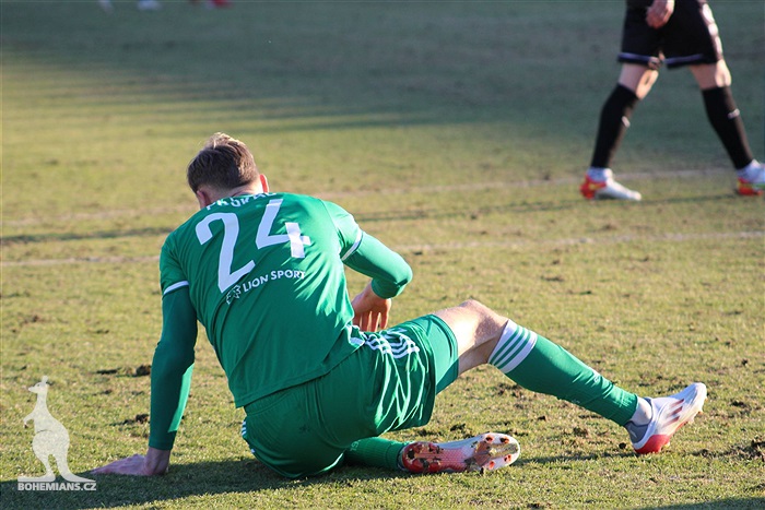 Wolfsberger - Bohemians 1:1 (1:0)