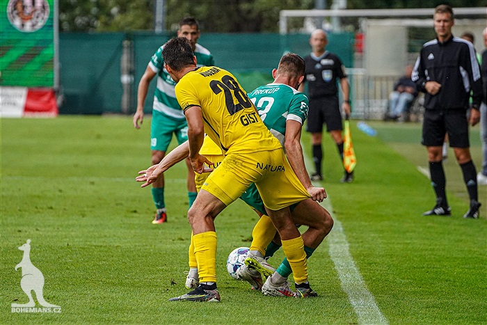 Bohemians - Hradec Králové 2:1 (1:0)