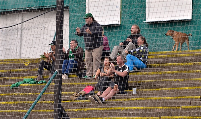 Bohemians Praha 1905 - SK Sigma Olomouc 1:1 (1:0)