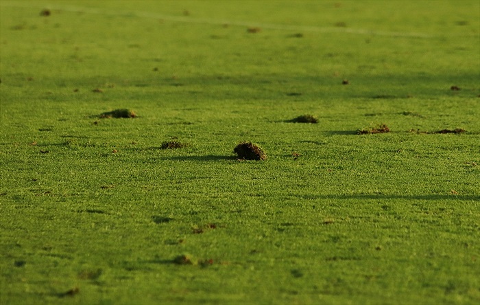 Zápy - Bohemians 2:3 (0:1)