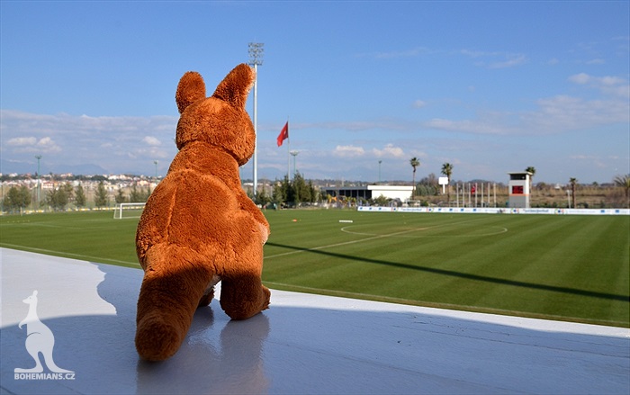 SK Rapid Vídeň - Bohemians Praha 1905 2:2 (2:1)