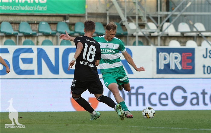 Bohemians - České Budějovice