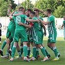 Bohemians - Karviná 4:0 (2:0)