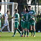 Lubin - Bohemians 1:1 (1:1)