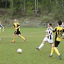 FK Zlíchov 1914 - DFK Bohemians 1905 0:2 (0:1)