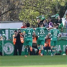 Bohemians - Mladá Boleslav 4:0 (1:0)