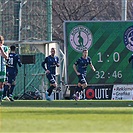 Bohemians - Slovácko 1:2 (1:1)