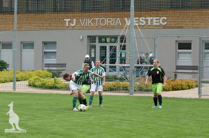 DFK Bohemians 1905 - SK Baník Libušín 9:2 (3:1)