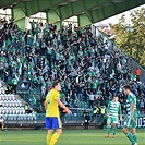 Bohemians - Zlín 2:0 (1:0)