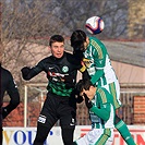 Bohemians Praha 1905 - 1.FK Příbram 5:0 (3:0)