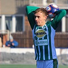 Bohemians Praha 1905 - 1.FK Příbram 5:0 (3:0)