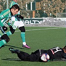 Bohemians Praha 1905 - 1.FK Příbram 5:0 (3:0)