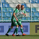 Hradec Králové - Bohemians 1:1 (1:0)