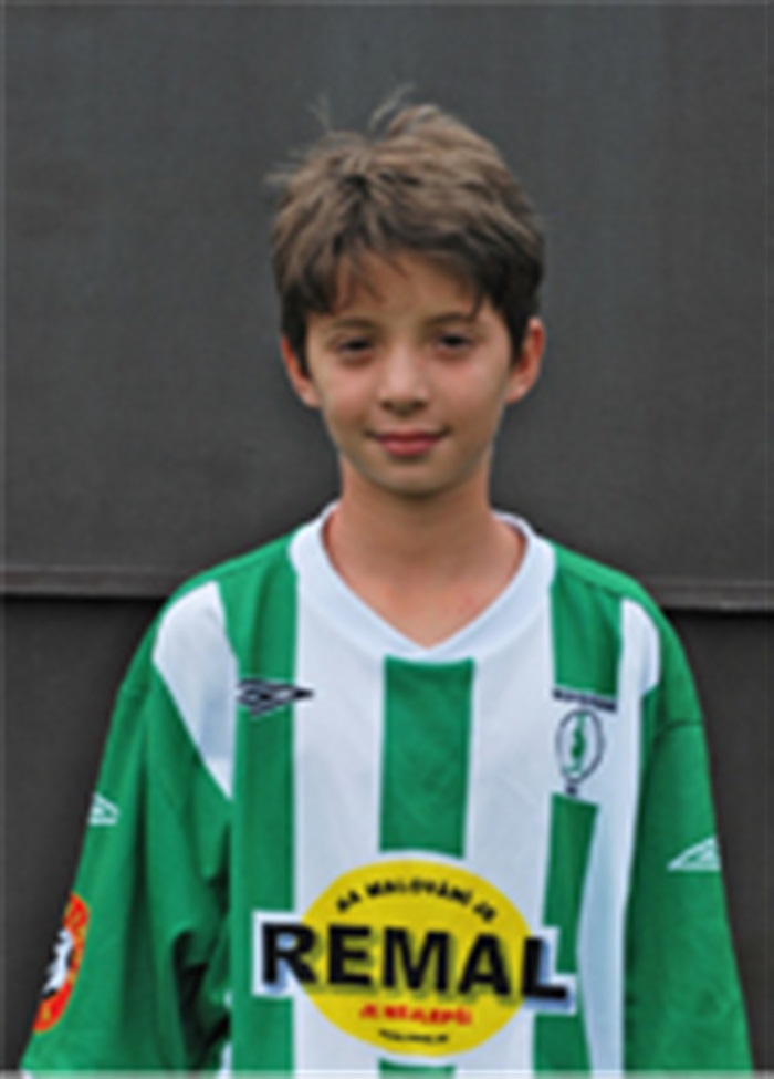 Fotografie Ismara Begiće