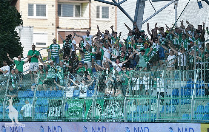 Hradec Králové - Bohemians 1:1 (1:0)