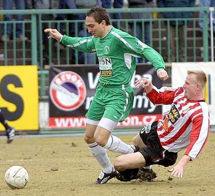 Dravý Michal Polodna