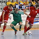 XXV. Memoriál dr. Václava Jíry