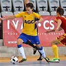 XXV. Memoriál dr. Václava Jíry