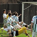 Bohemians 1905 - Hradec Králové 2:1 (1:0)