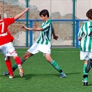 Martin Borek vypichuje míč před domácím Ludvíčkem