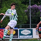 Bohemians 1905 - 1.FK Příbram 2:1 (0:0)