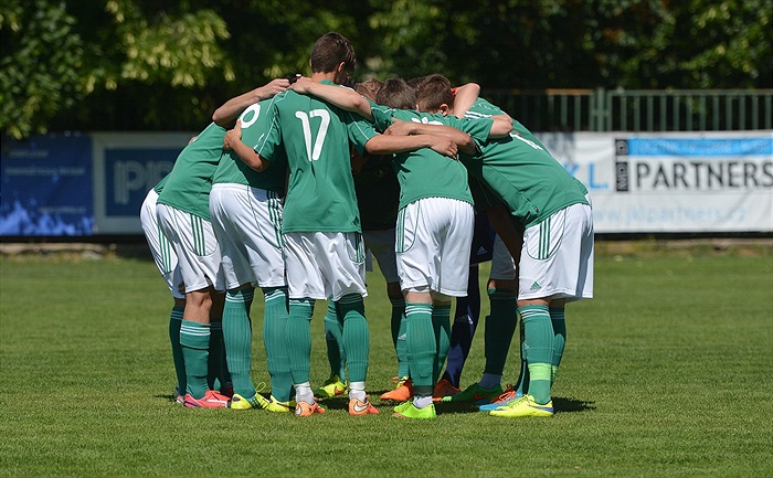 Bohemians Praha 1905 - FC Vysočina Jihlava 3:0 (1:0)