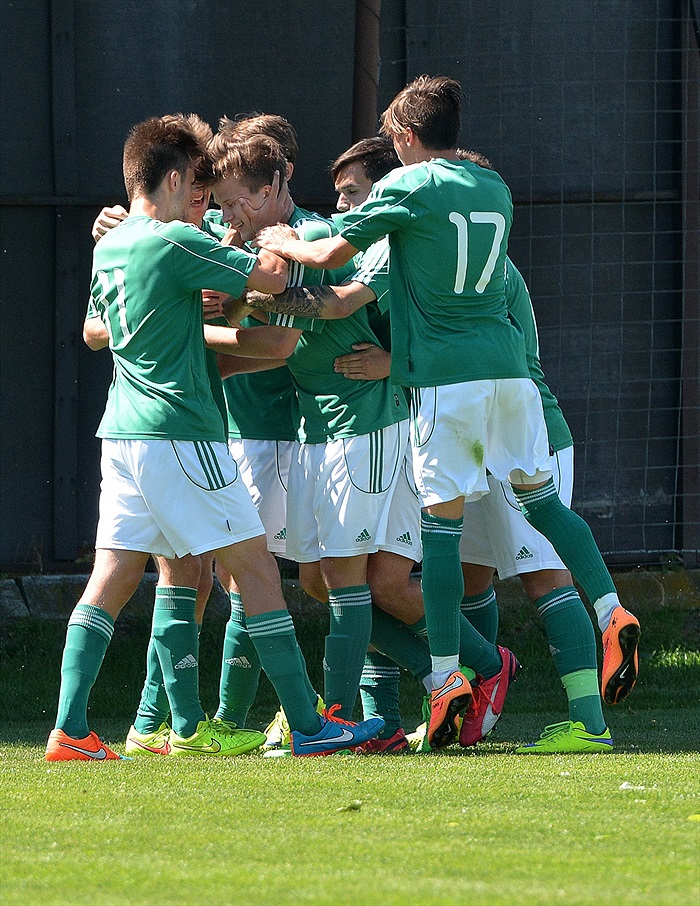 Bohemians Praha 1905 - FC Vysočina Jihlava 3:0 (1:0)