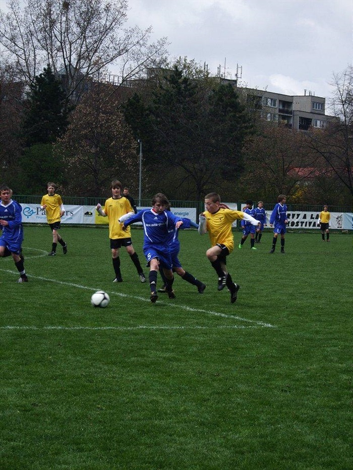 Půča právě vlétává do vápna