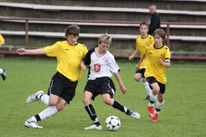 Vojta - pes obranář