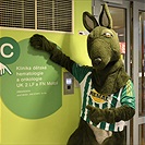 Klokan na návštěvě v Motole