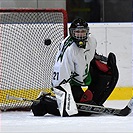 Klokani po roce opět na ledě