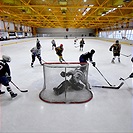 Klokani po roce opět na ledě