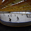 Klokani po roce opět na ledě