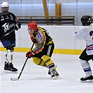 Klokani po roce opět na ledě