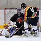 Klokani po roce opět na ledě