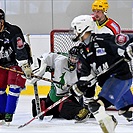 Klokani po roce opět na ledě