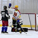 Klokani po roce opět na ledě