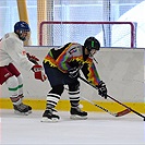 Klokani po roce opět na ledě