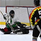 Klokani po roce opět na ledě