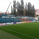 Začalo kácení topolů